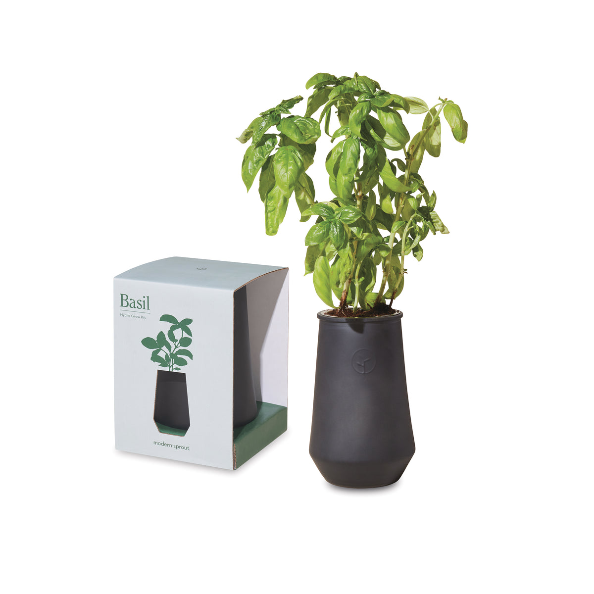 Black/Basil Modern Sprout® Tapered Tumbler Grow Kit plain