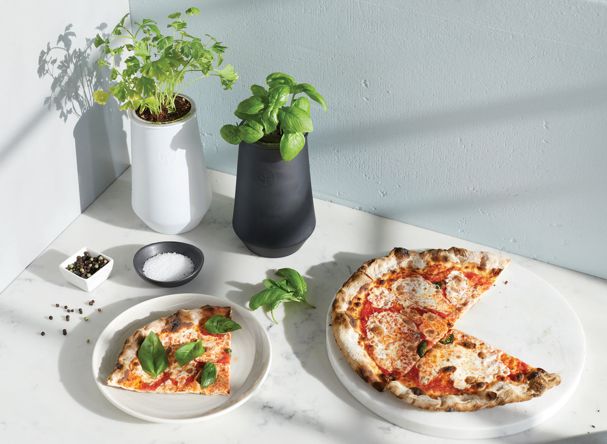 Black/Basil Modern Sprout® Tapered Tumbler Grow Kit plain