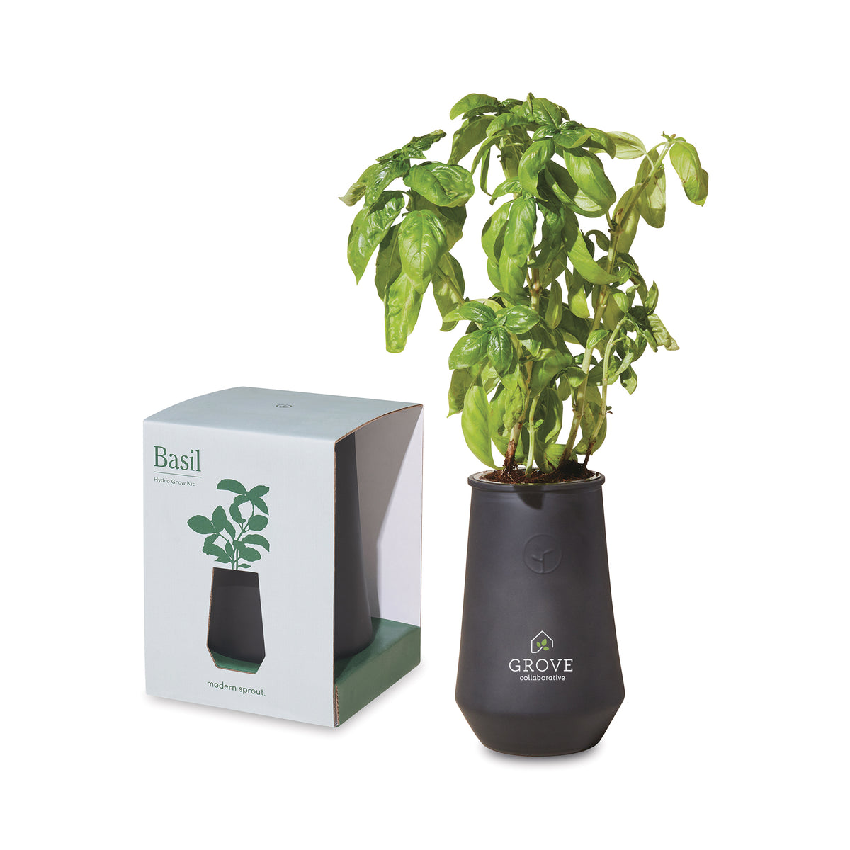 Black/Basil Modern Sprout® Tapered Tumbler Grow Kit