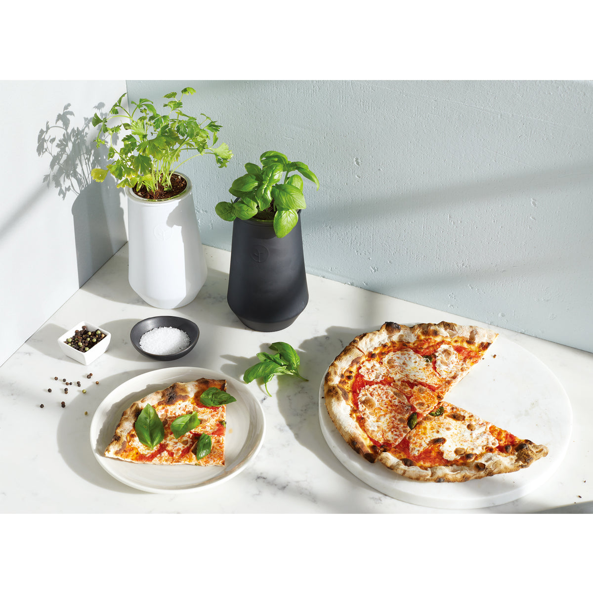 Black/Basil Modern Sprout® Tapered Tumbler Grow Kit