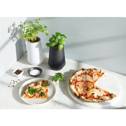 Black/Basil Modern Sprout® Tapered Tumbler Grow Kit