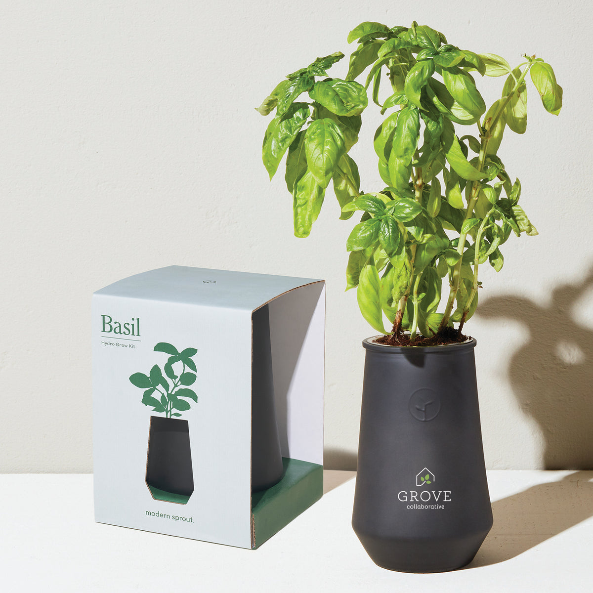 Black/Basil Modern Sprout® Tapered Tumbler Grow Kit