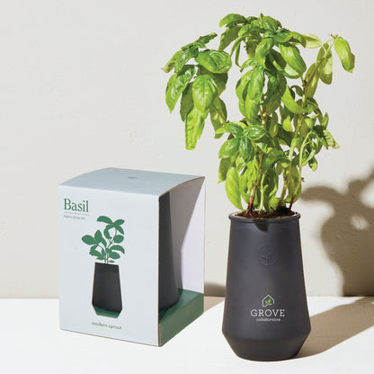 Black/Basil Modern Sprout® Tapered Tumbler Grow Kit