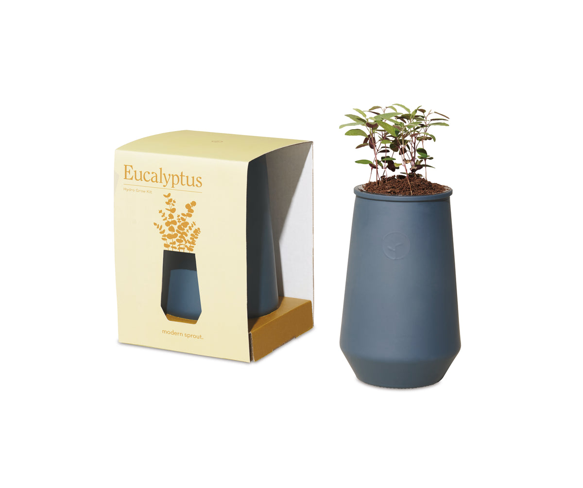 Blue Agave/Eucalyptus Modern Sprout® Tapered Tumbler Grow Kit plain