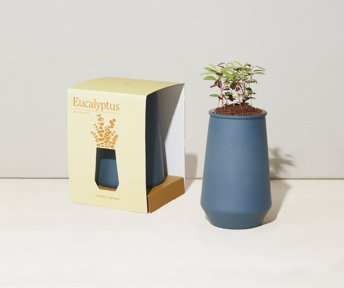 Blue Agave/Eucalyptus Modern Sprout® Tapered Tumbler Grow Kit plain