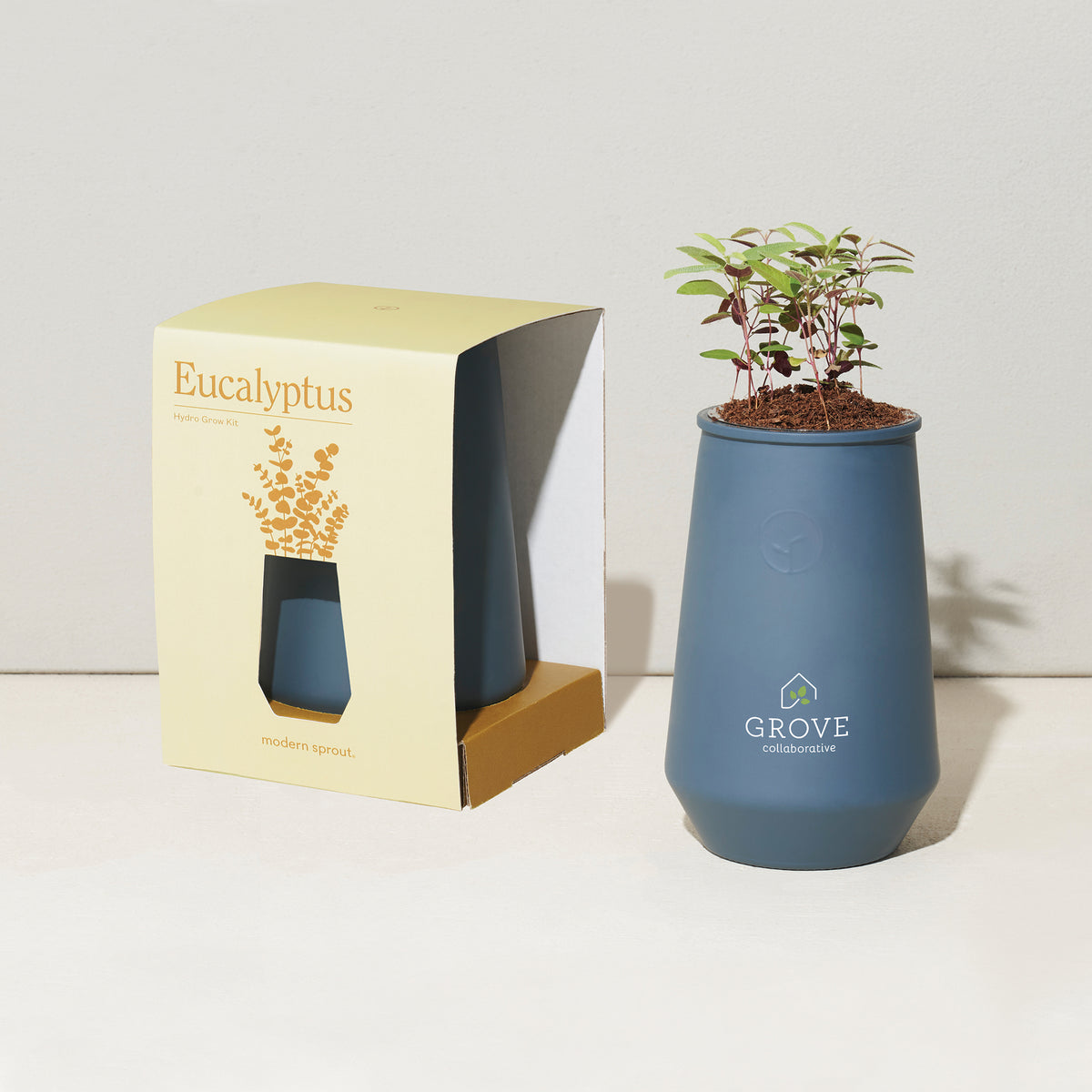 Blue Agave/Eucalyptus Modern Sprout® Tapered Tumbler Grow Kit