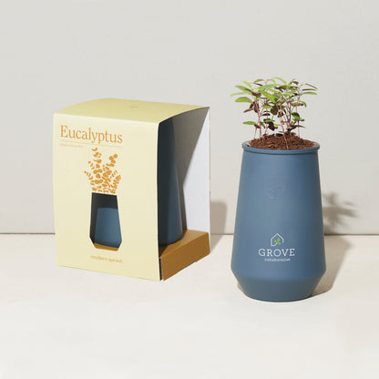Blue Agave/Eucalyptus Modern Sprout® Tapered Tumbler Grow Kit