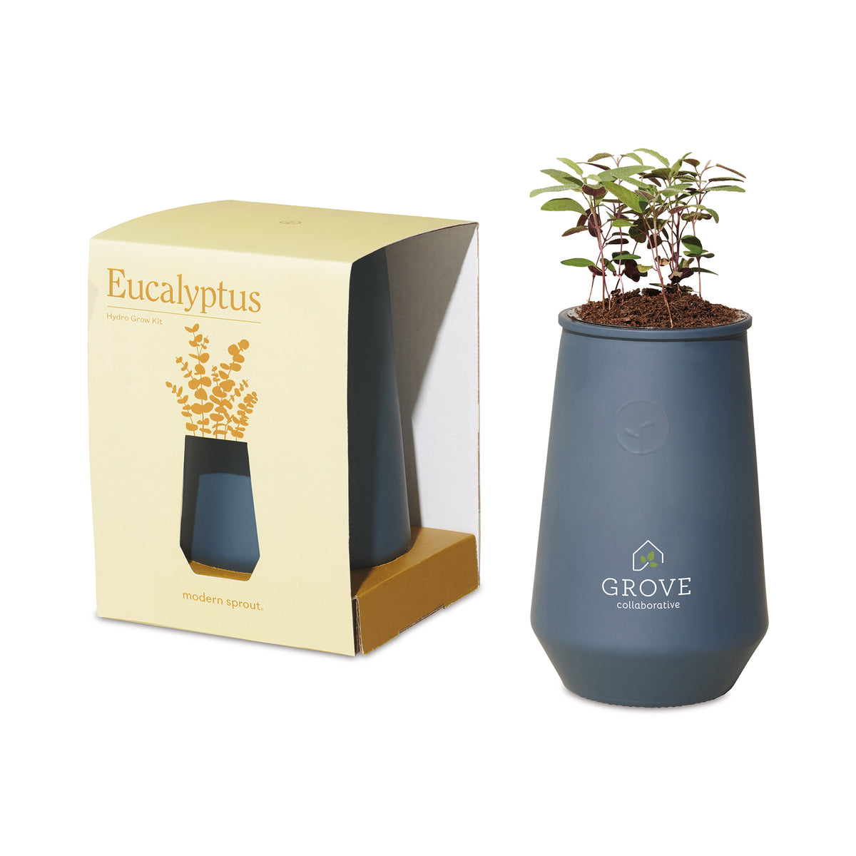 Blue Agave/Eucalyptus Modern Sprout® Tapered Tumbler Grow Kit