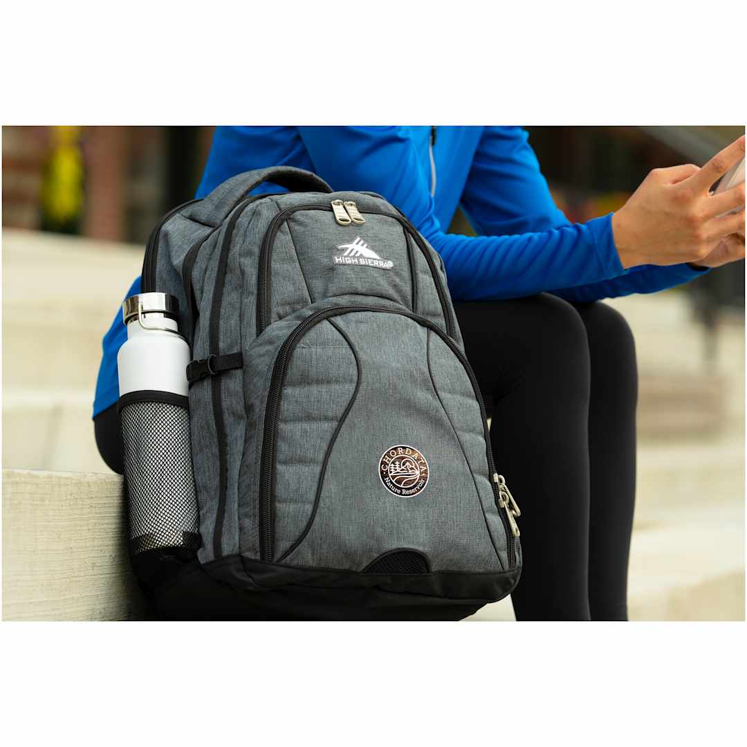 Gray High Sierra Swerve 17" Computer Backpack
