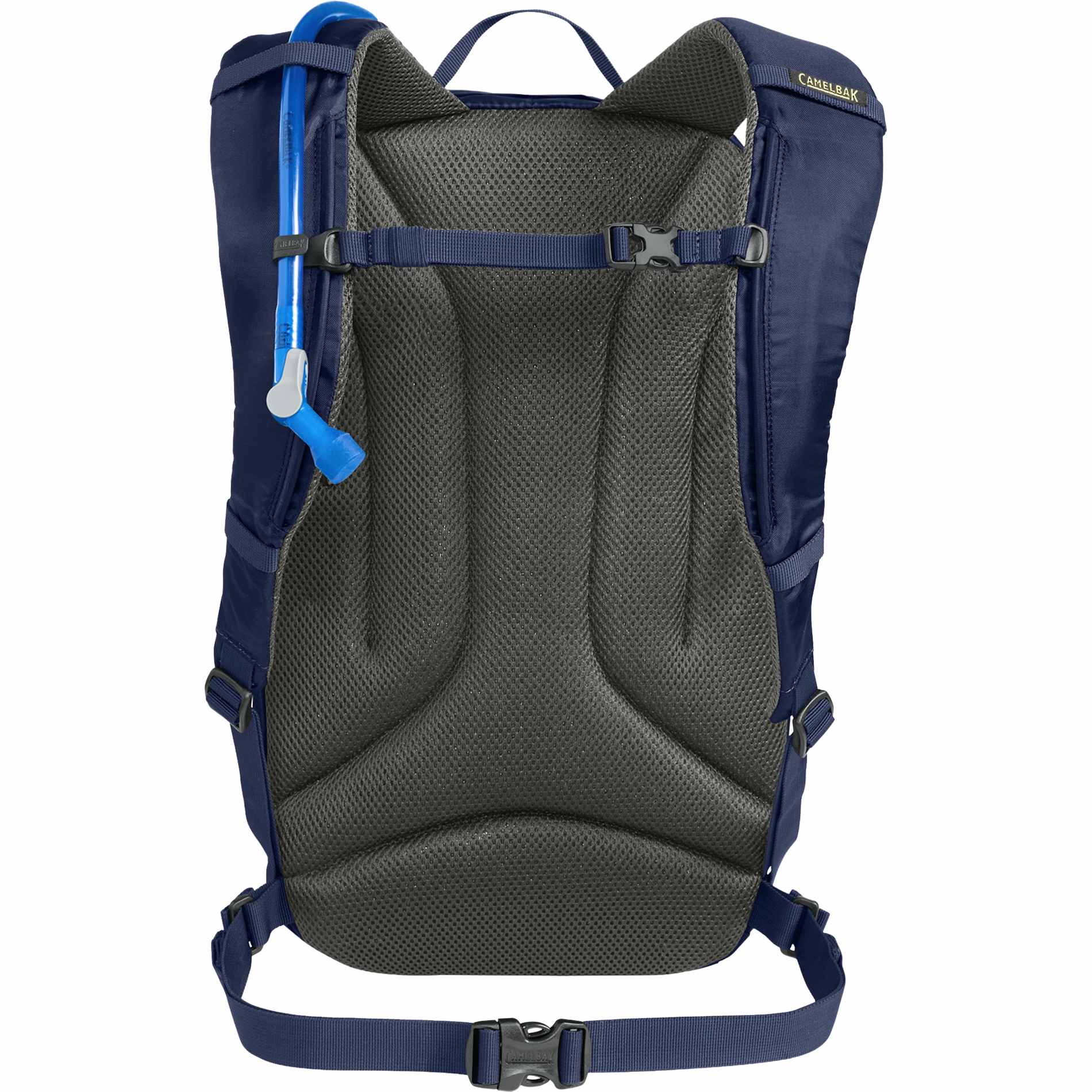 Rear View of Blue Camelbak Cloudwalker 18 Hydration Pack