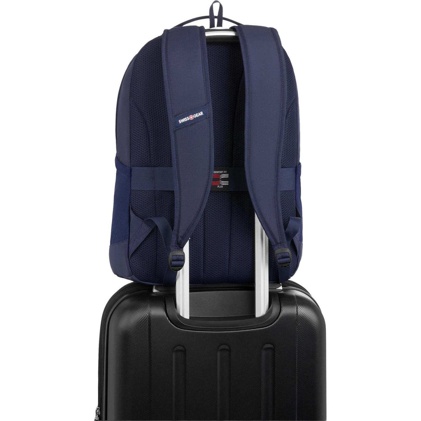 Rear View of Blue Swiss Gear Ridgeline Backpack
