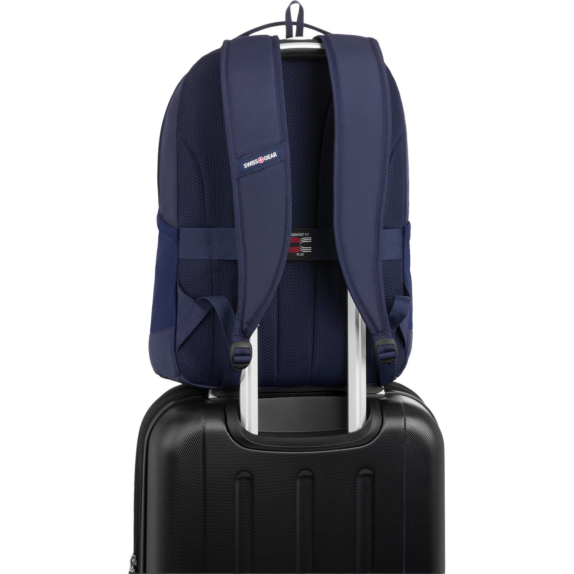 Rear View of Blue Swiss Gear Ridgeline Backpack