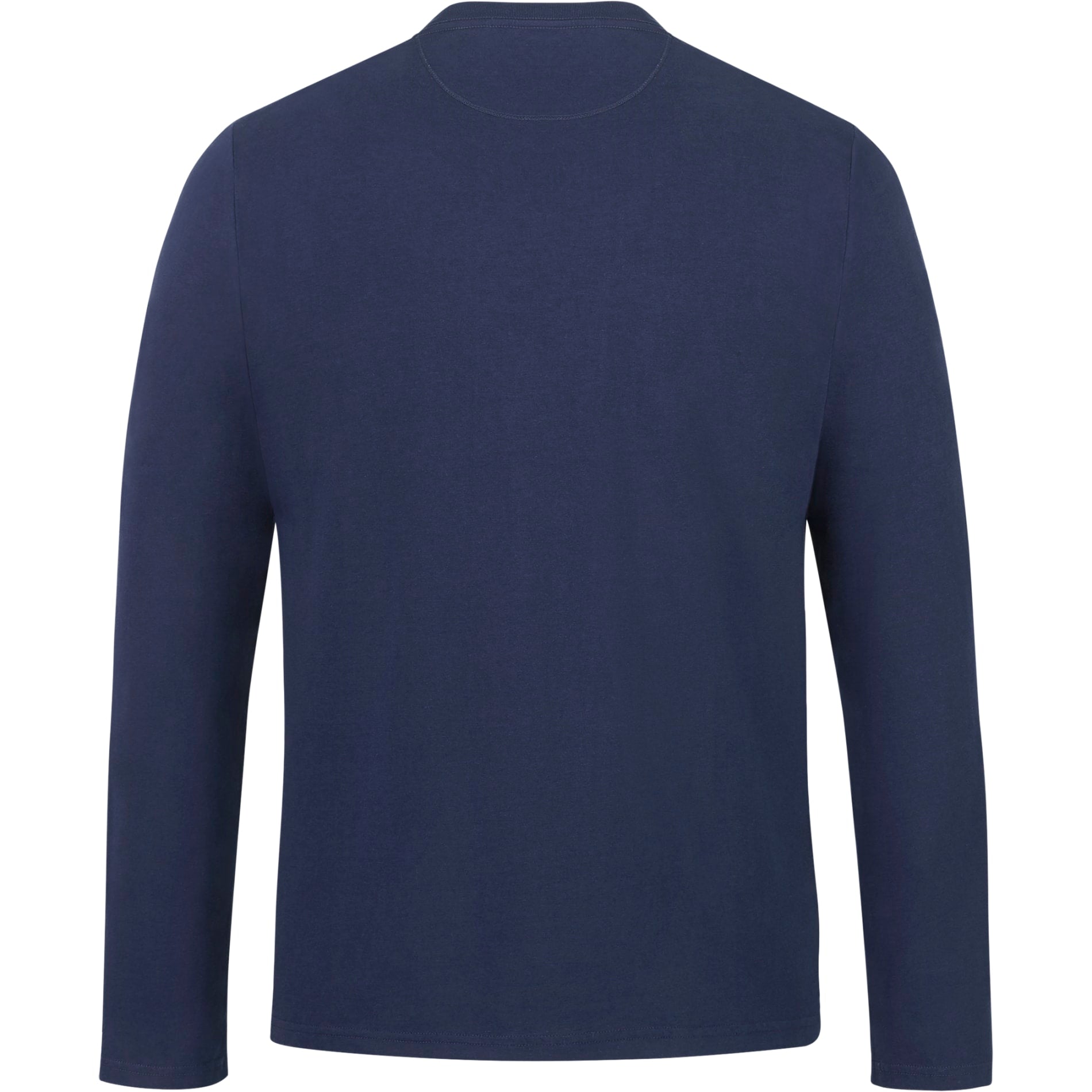 Rear View of Blue tentree Organic Cotton Longsleeve Tee - Men's plain
