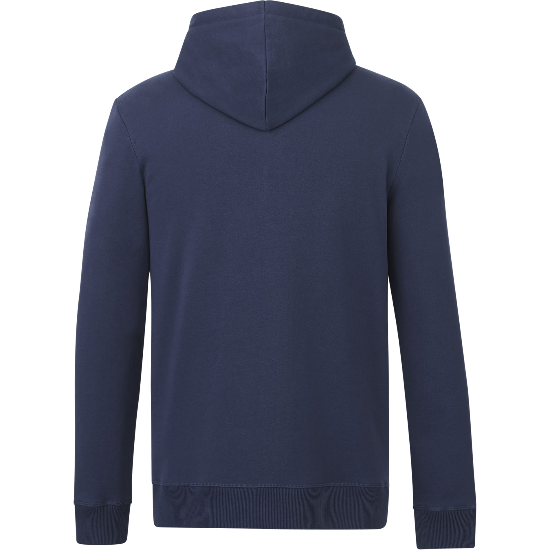Rear View of Blue tentree Organic Cotton Zip Hoodie - Men's plain