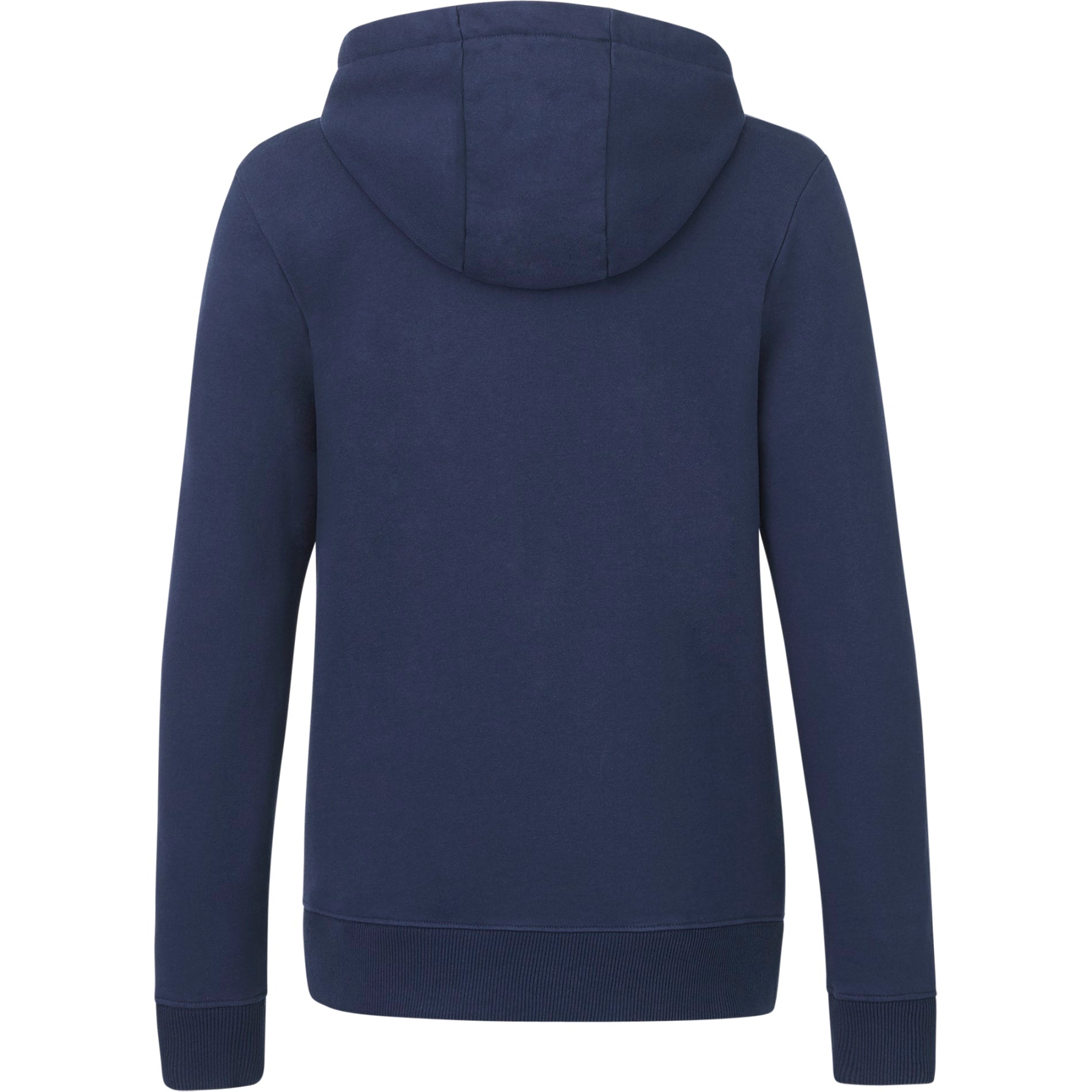 Rear View of Blue tentree Organic Cotton Zip Hoodie - Women's plain