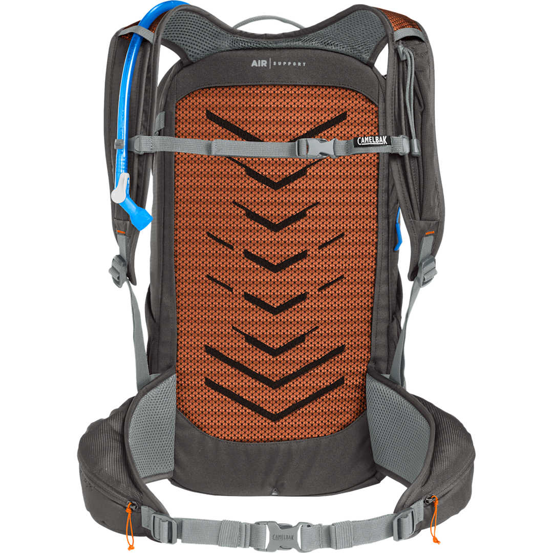 Rear View of Gray Camelbak Rim Runner x30 Hydration Pack