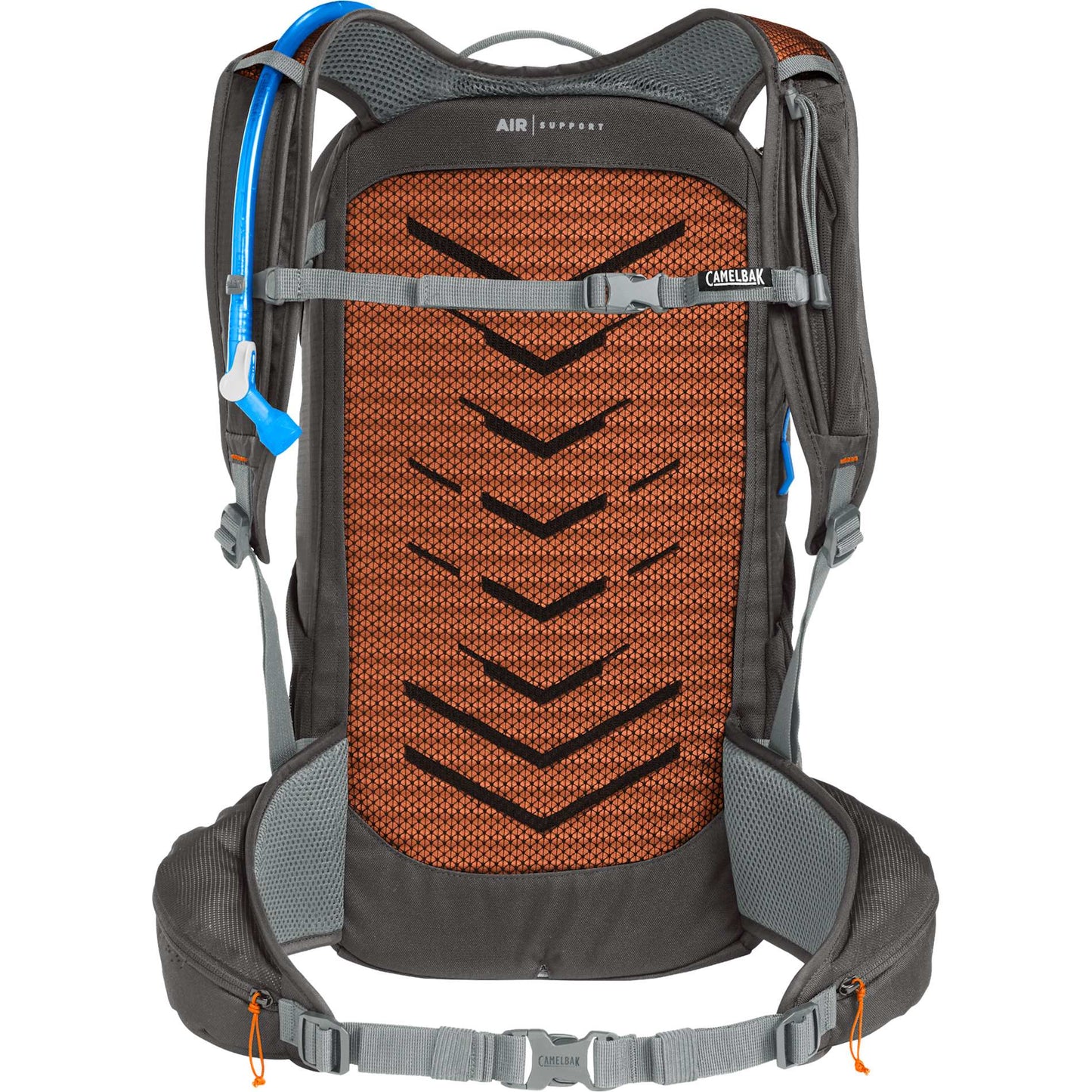 Rear View of Gray Camelbak Rim Runner x30 Hydration Pack