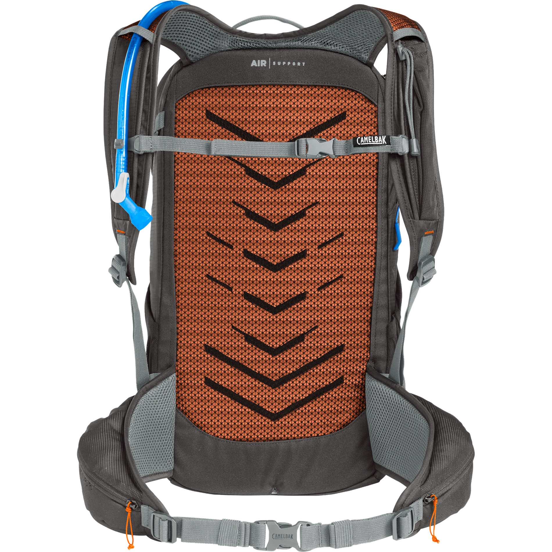 Rear View of Gray Camelbak Rim Runner x30 Hydration Pack