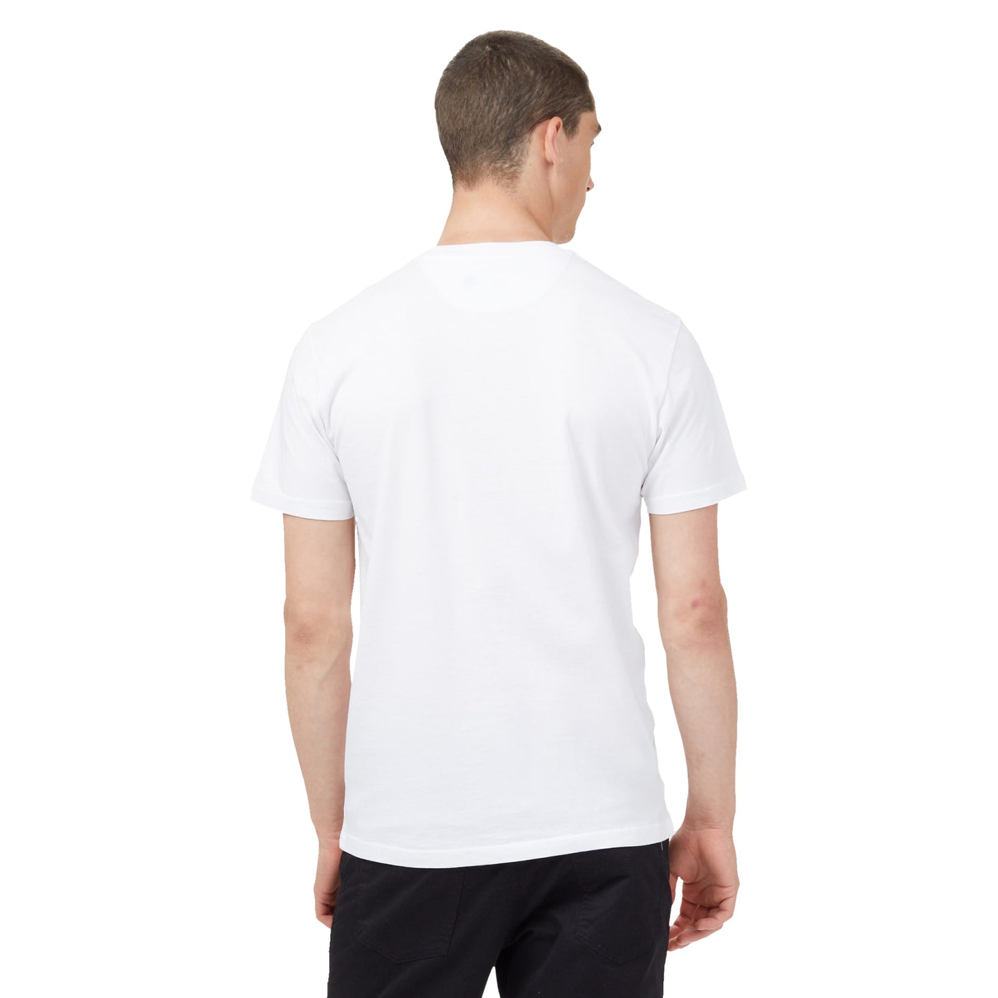 Rear View of White tentree Organic Cotton Short Sleeve Tee - Men's