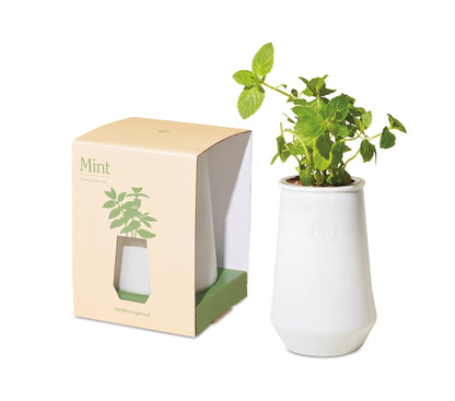 White/Mint Modern Sprout® Tapered Tumbler Grow Kit plain