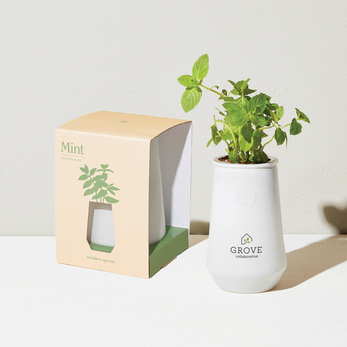 White/Mint Modern Sprout® Tapered Tumbler Grow Kit