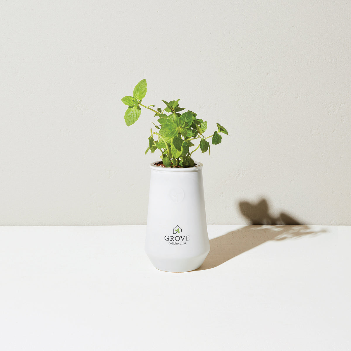 White/Mint Modern Sprout® Tapered Tumbler Grow Kit