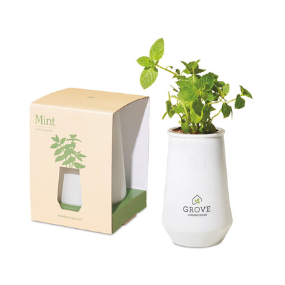 White/Mint Modern Sprout® Tapered Tumbler Grow Kit
